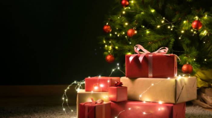 Offrir un cadeau Noël pour bebe 8 mois pour créer des souvenirs magiques et mémorables à Noël